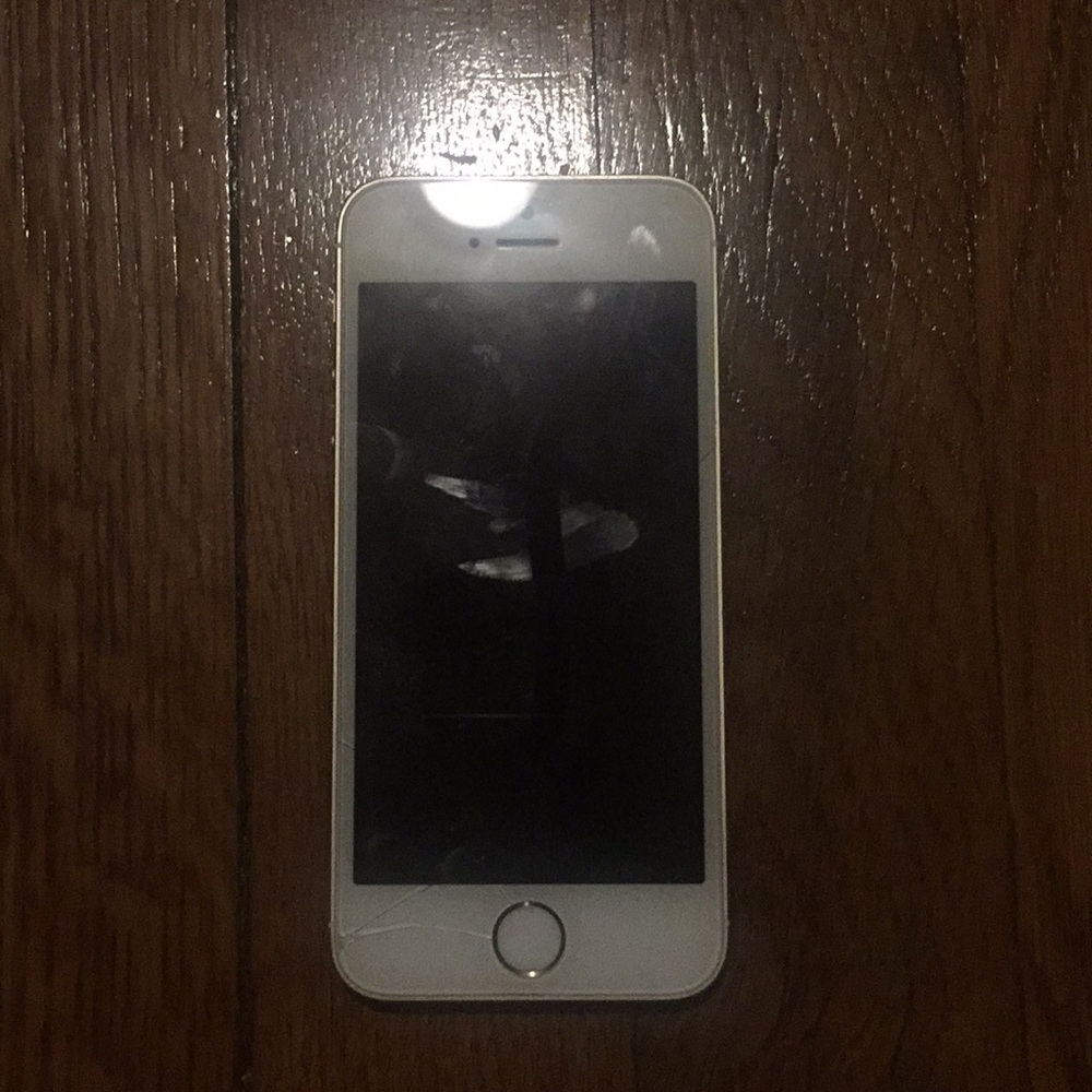 iPhone 5s unlocked